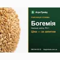 Нвсіння пшениці 60гемія (Selgen) - 03имв, елітв, РН-1