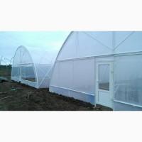Пленочные теплицы от производителя по доступным ценам