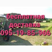 Продам сено люцерны, луговое в тюках. Большой объём. Доставка бесплатная