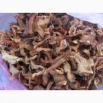 Лисички сушені