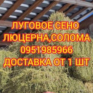 Сено с доставкой по Украине. Луговое (разнотравье), пырей, люцерна, солома в тюках мешках