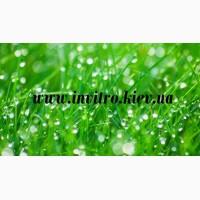 Продам абсцизовую кислоту (ABA, Abscisic acid)