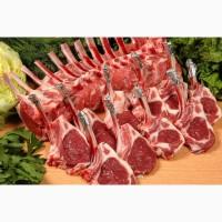 Оптовая продажа мяса и мясопродуктов в Европе
