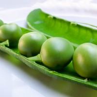 Продаем КАНАДСКИЕ семена, горох, соя, пшеница, ячмень, кукуруза, подсолнечник, гречиха