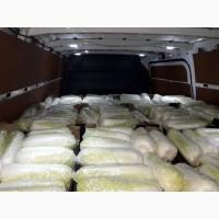 Продам пекінську капусту