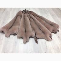 Песець фінський