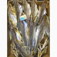 Риба ікра морепродукти