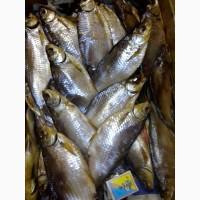 Риба ікра морепродукти