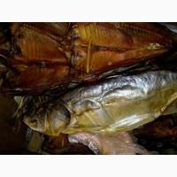 Риба ікра морепродукти
