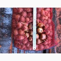 Продам мелкий лук оптом, продам лук оптом Харьков, продам лук со склада
