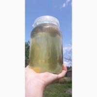 Продам мед з акації 2021 року з власних пасік Закарпатський