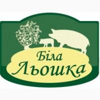 Комбікорм, БМВД та Премікс для свиней, птиці і кролів