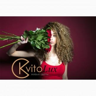 Доставка цветов в Харькове от Kvitolux
