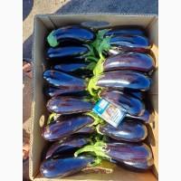 Продам баклажани