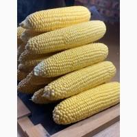 Продам солодку кукурудзу в качанах свіжу заморожену бланшовану