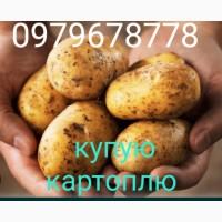 Купую картопля