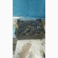 Продам виноград срочно