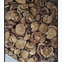 Продам пантерный мухомор