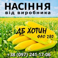 Насіння кукурудзи ДБ Хотин ФАО 280 / від виробника Agro_Exprt
