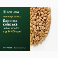 Двринкв киї8ськв - 03имв пшениця ІФРГ НАН: п0сі8не нвсіння елітв, РН-1, 8ід 14 800 грн/т