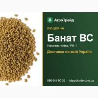 Банат ВС - люцерна, насіння еліта, РН-1 з документами