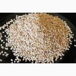 Продам сухофрукты, зернобобовые, мед, орехи, семечки, мука