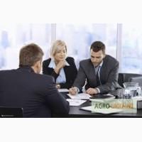 Перевод текста и документации