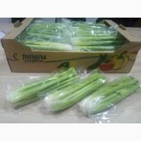 Продаём сельдерей