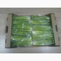 Продаём сельдерей