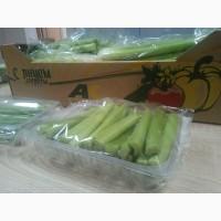 Продаём сельдерей