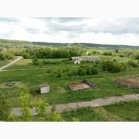 Продам молочную ферму, ореховый сад, готовый бизнес, сыроварня, коровы