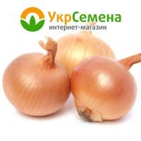 Лук-севок Коррадо (Burgos 10/21) 0, 5 кг