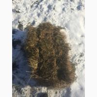 Продам тюки