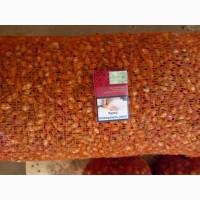 Продаём лук севок на постоянной основе