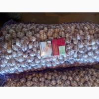 Продаём лук севок на постоянной основе