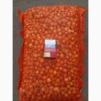 Продаём лук севок на постоянной основе