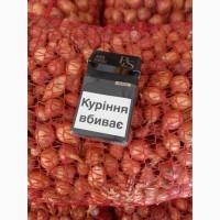 Продаём лук севок на постоянной основе