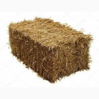 Продам сіно в тюках, луцерна, лугове сіно, солома. 2020 рік