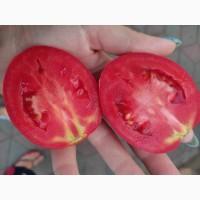 Продам помидор сливка