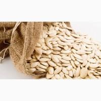 Закуповуємо гарбузове насіння на постійній основі Болгарка, Турка, Українка