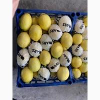 Продам Лимон Турція Опт