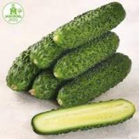 Куплю огірок