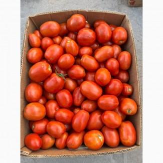 Продам помідори оптом, в наявності об#039;єм, ціна договірна