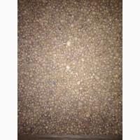 Продам однозубку часнику Діаметр менше 15 мм