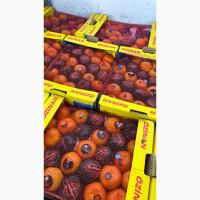 Продам мандарин