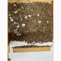 Продаж ГРЕЧКА (Buckwheat)