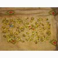 Продам товарну та посівну сою, сорти Піонер (група А), Аполо та Ментор