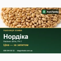 Купити насіння пшениці Нордіка - еліта, РН-1, документи