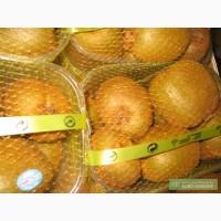 Продам киви (три вида) из Италии оптом