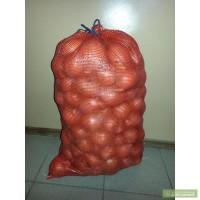 Продам лук оптом